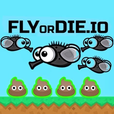 The game FlyOrDie.io