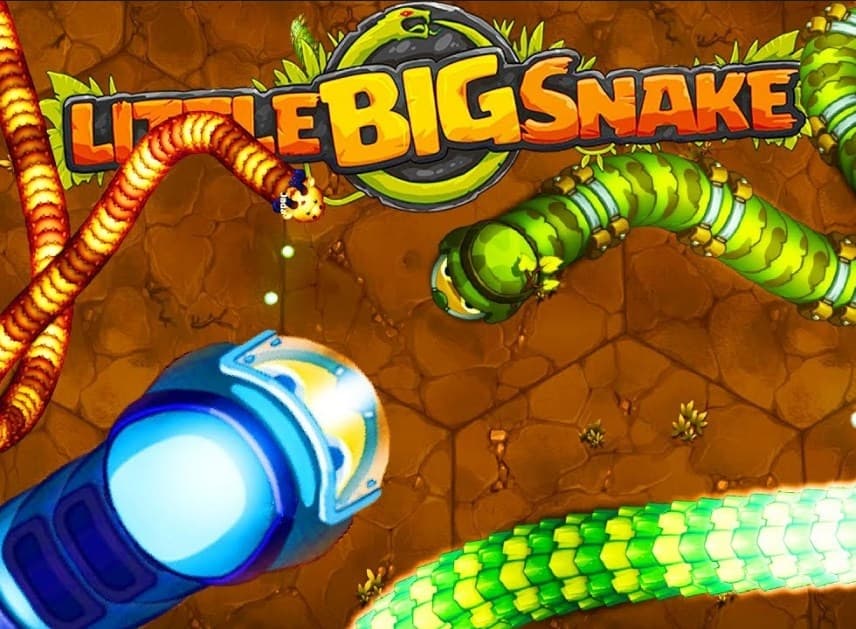 The game Little Big Snake.io