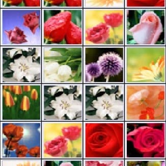 The game Mahjong Flower Country