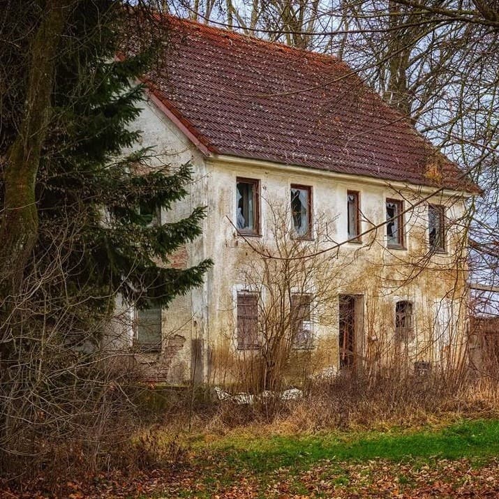 The game Abandoned Forest House