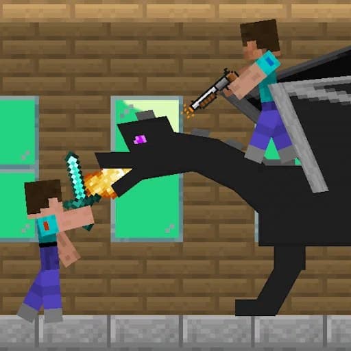 The game Main Survival: Nubik and Pro