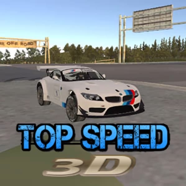 The game Top Speed 3D