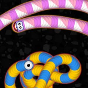 The game Worms Zone